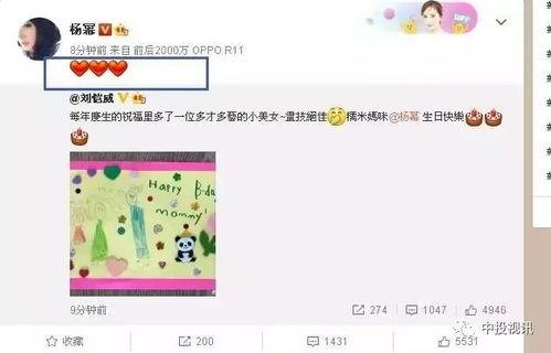 娱乐吃瓜酱 生日,揭秘明星生日背后的故事与惊喜